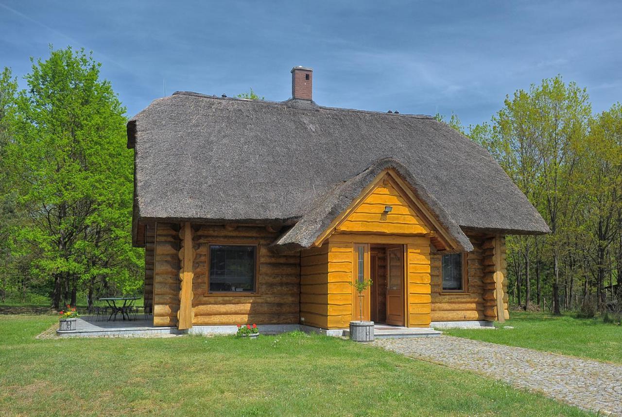 Dom Pod Sosnami Villa Gryżyna Eksteriør bilde