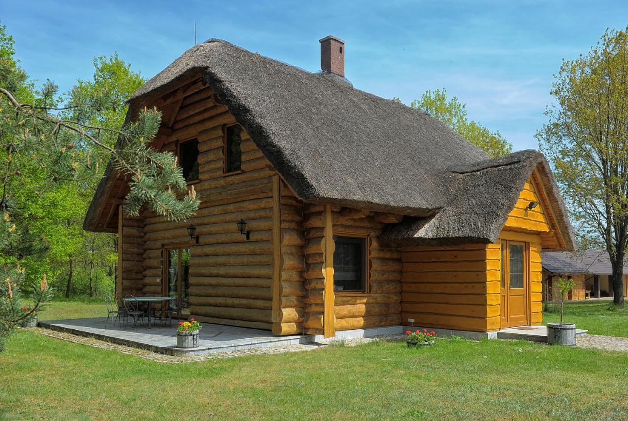 Dom Pod Sosnami Villa Gryżyna Eksteriør bilde