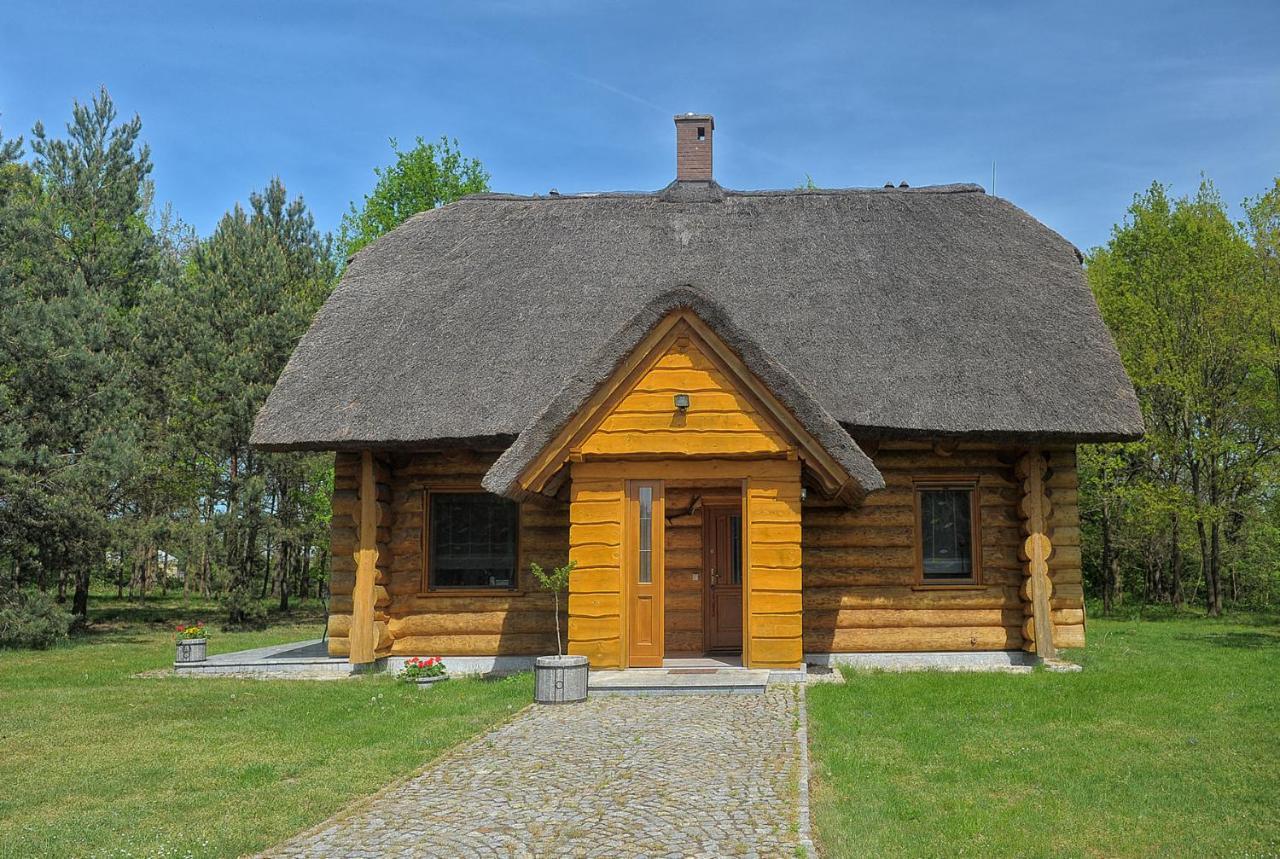 Dom Pod Sosnami Villa Gryżyna Eksteriør bilde