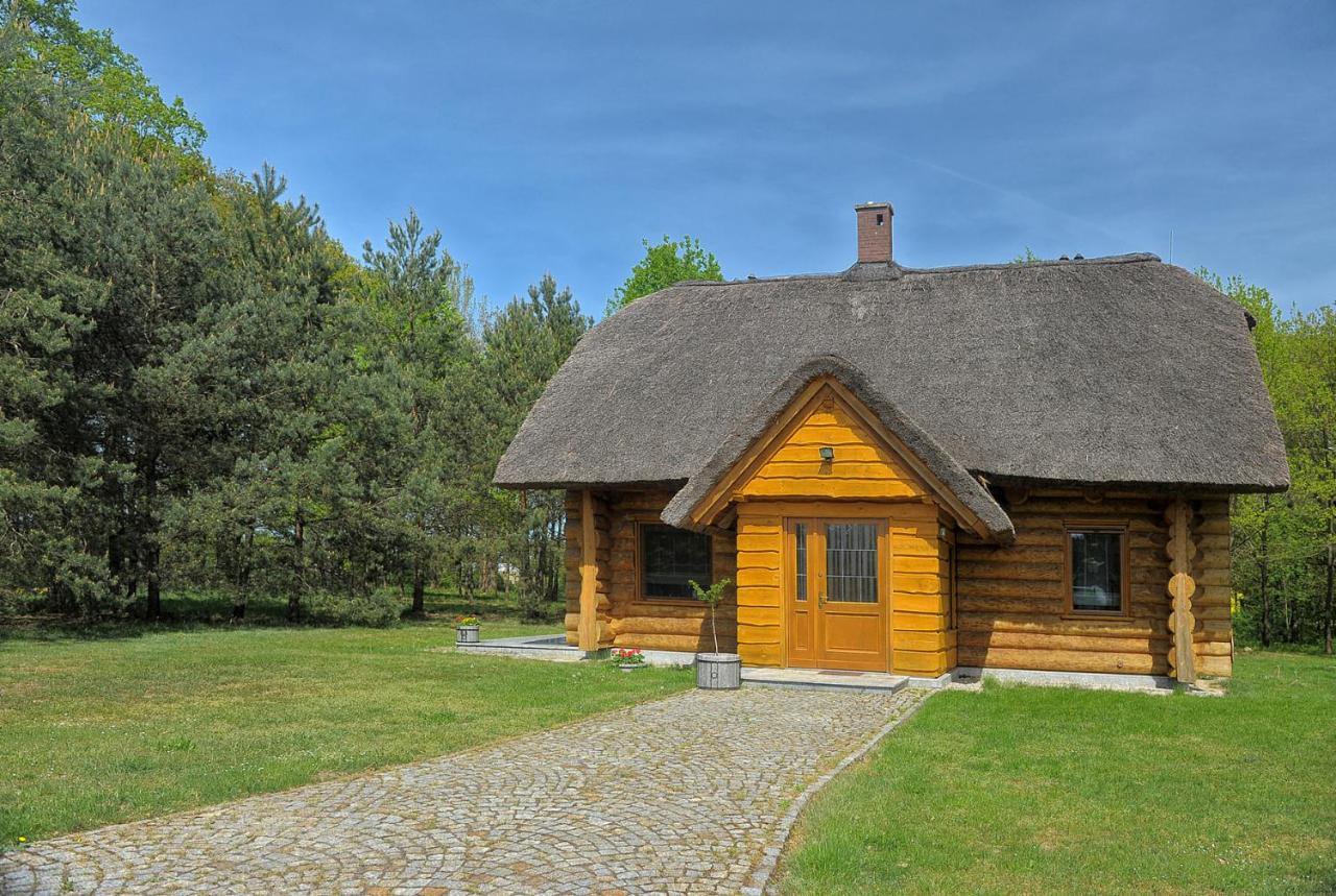 Dom Pod Sosnami Villa Gryżyna Eksteriør bilde